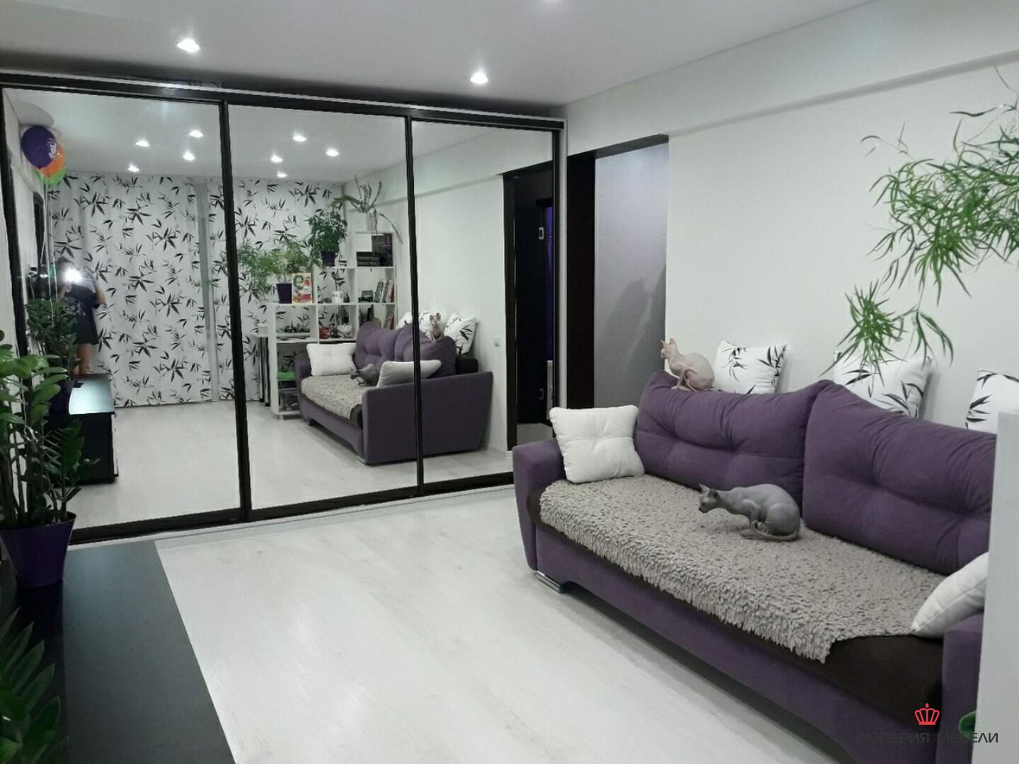 Шкаф-купе в спальню с зеркалом № 24