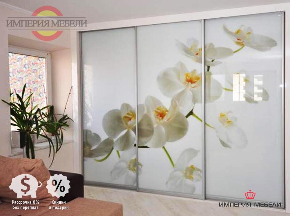 Шкаф-купе в гостиную Сенатор № 14