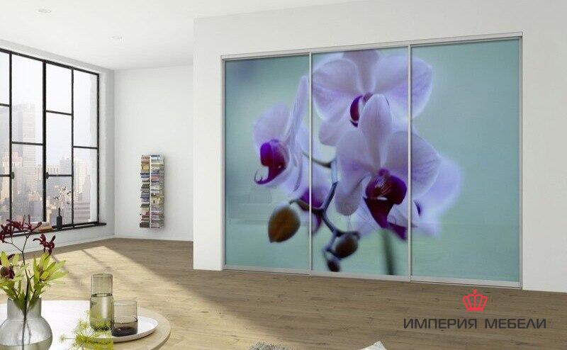Шкаф-купе системы Сенатор с фотопечатью № 22