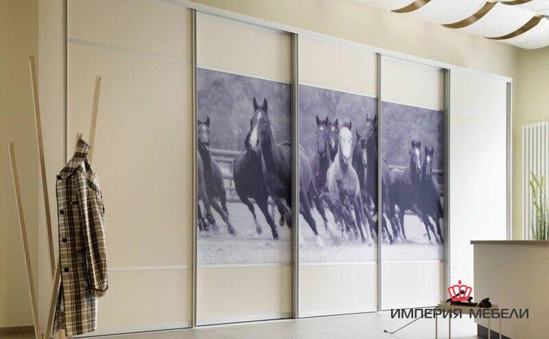 Шкаф-купе система Сенатор с фотопечатью № 4