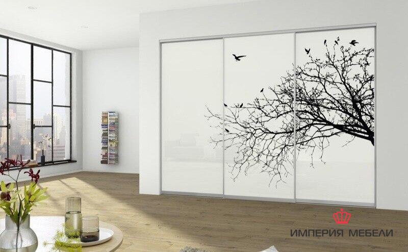 Шкаф-купе системы Сенатор с фотопечатью № 12