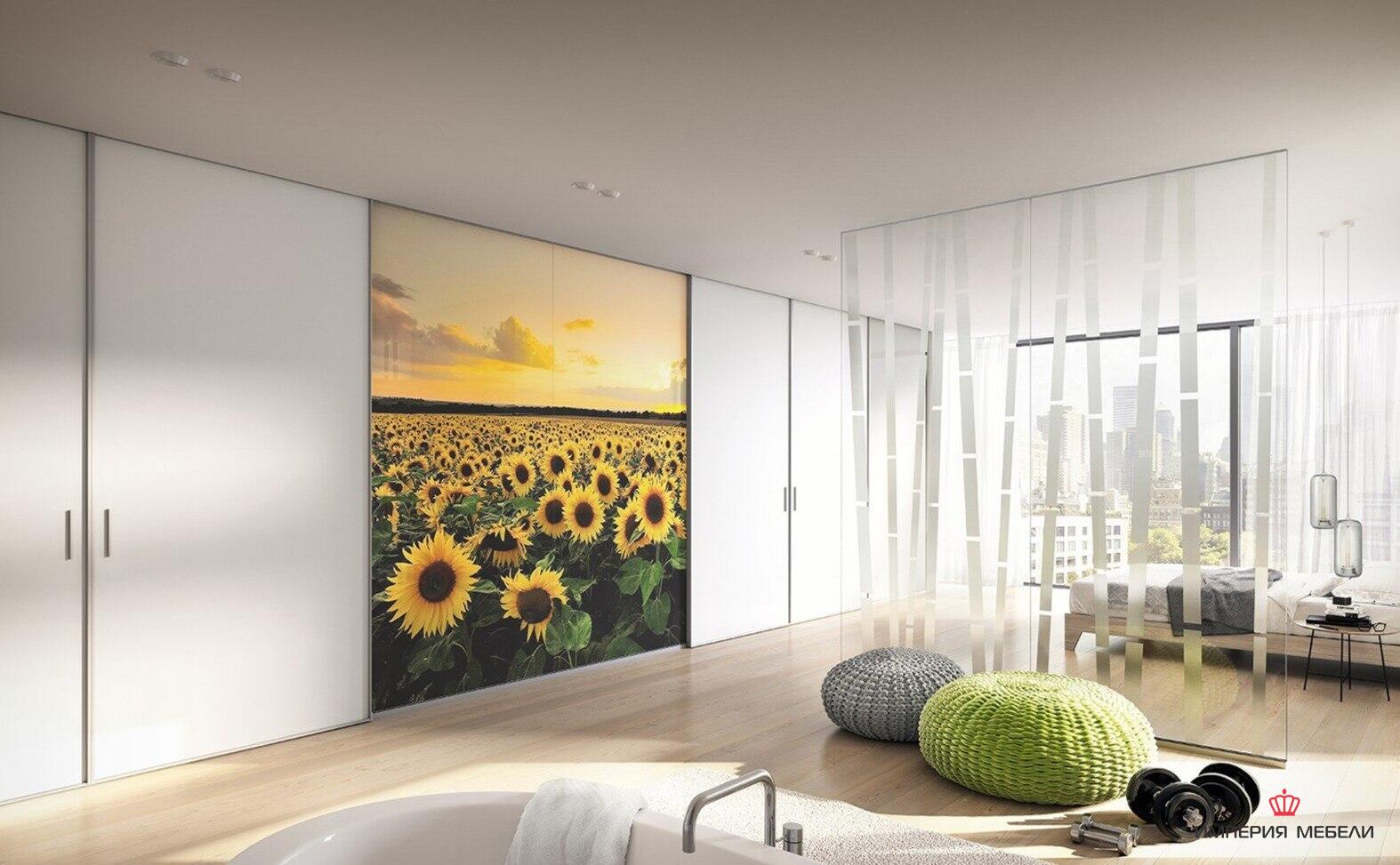 Шкаф-купе системы Сенатор с фотопечатью № 5